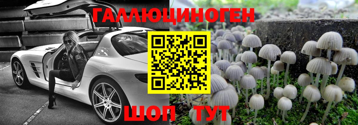 наркотики  Галлюциногенные грибы Psilocybe  Вход с VPN  Орехово-Зуево 